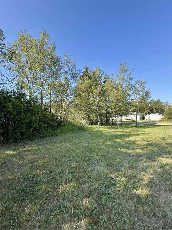 MLS® A2185664 - 5315 51 Street  in NONE Mirror, Residential
