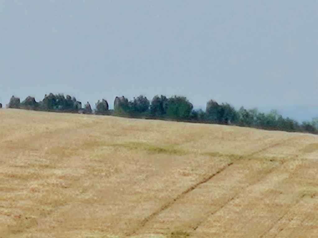 MLS® A2185723 -  Symons Valley   in NONE Rural Rocky View County, Land