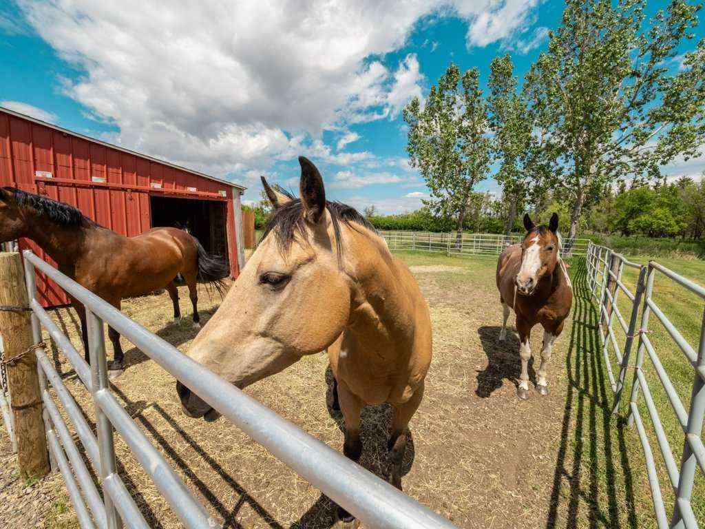 MLS® A2185996 - 10054 Range Rd 142   in NONE Rural Warner No. 5, County of, Residential