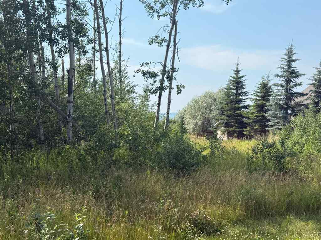 MLS® A2186586 - 520 Diamond Willow Drive  in  Lac Des Iles, Land
