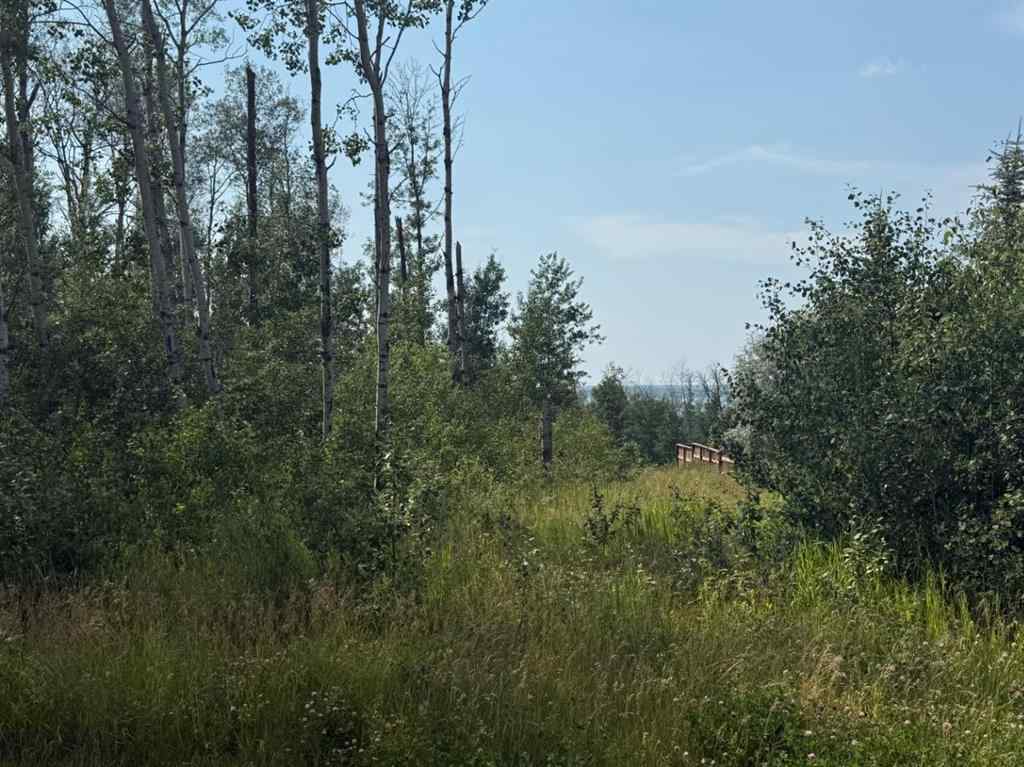 MLS® A2186586 - 520 Diamond Willow Drive  in  Lac Des Iles, Land