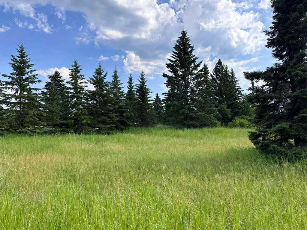 MLS® A2186829 - 106, 15249 TWP RD 665A Township  in Missawawi Lake Estate Rural Lac La Biche County, Land