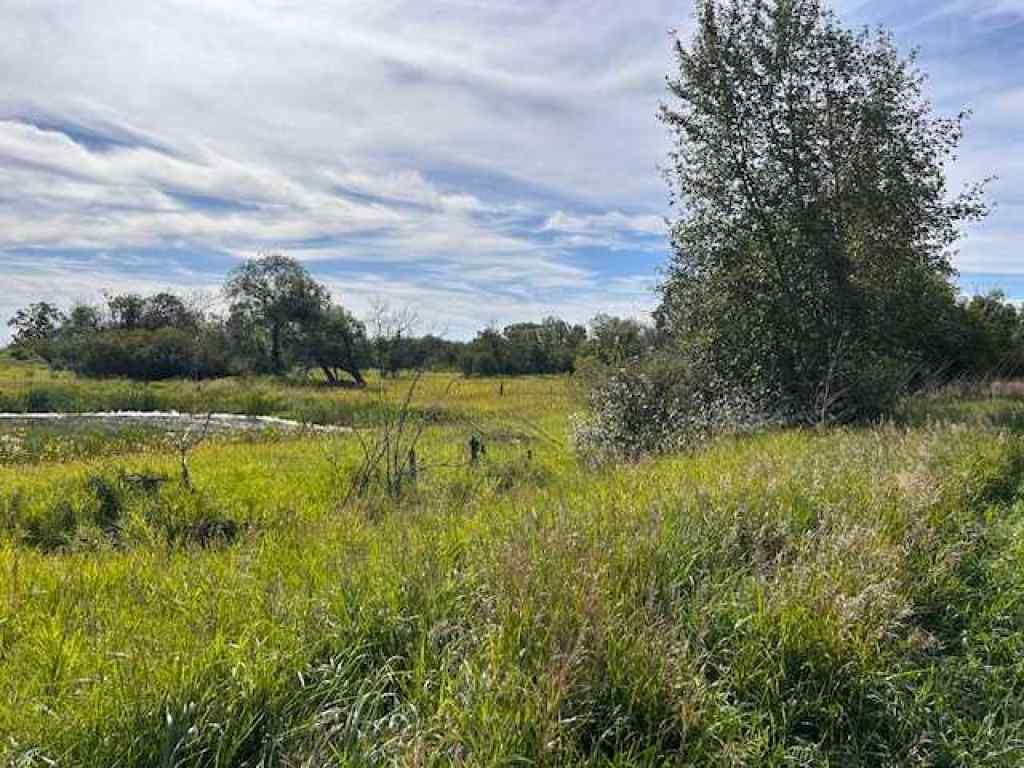 MLS® A2186915 - 162078 RR 31-3   in NONE Rural Starland County, Residential