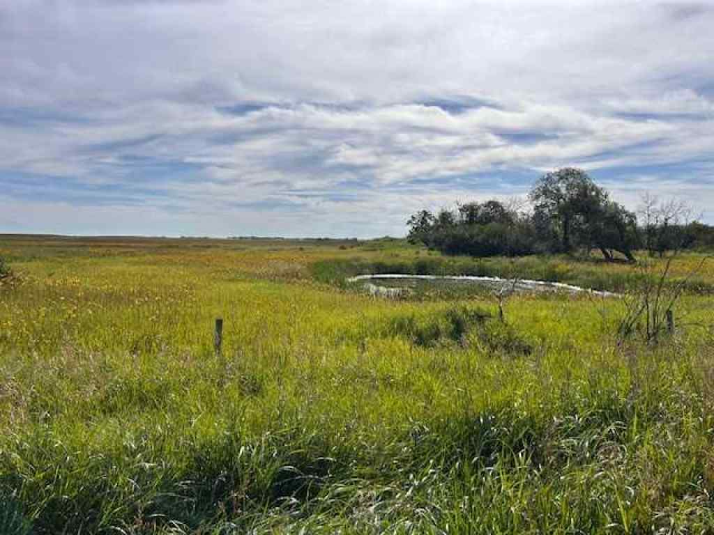 MLS® A2186915 - 162078 RR 31-3   in NONE Rural Starland County, Residential