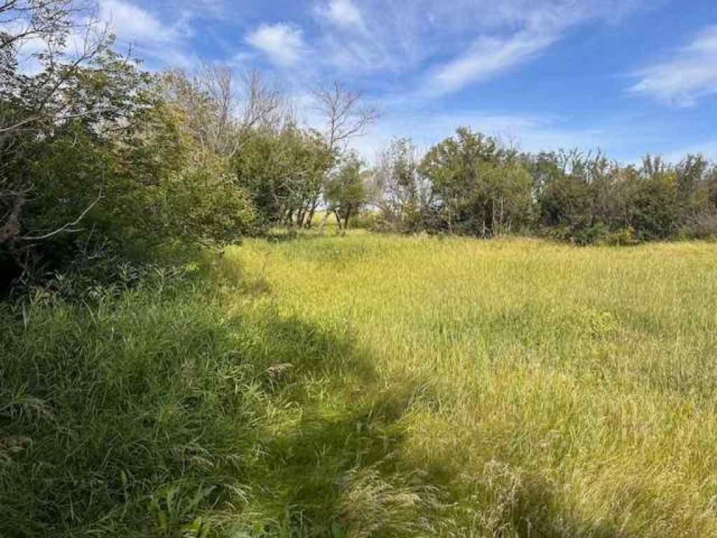 MLS® A2186915 - 162078 RR 31-3   in NONE Rural Starland County, Residential