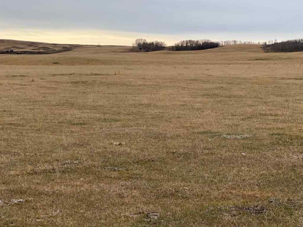 MLS® A2186972 - On Township Road 431   in NONE Rural Ponoka County, Land