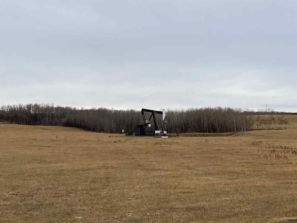 MLS® A2186972 - On Township Road 431   in NONE Rural Ponoka County, Land