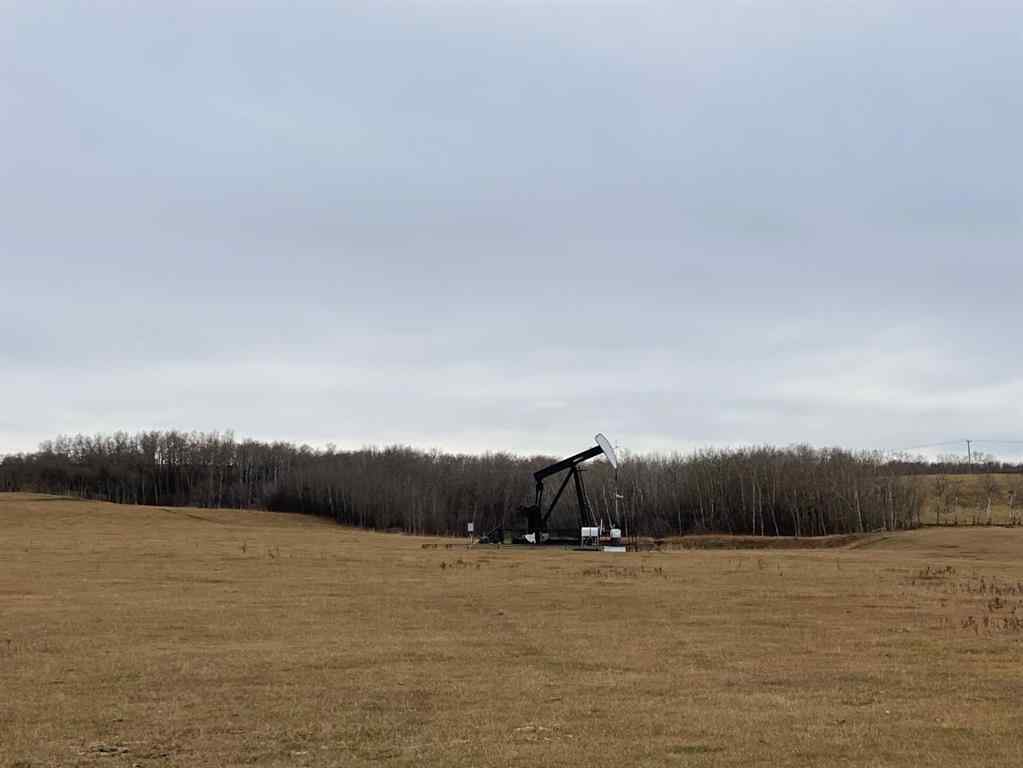 MLS® A2186972 - On Township Road 431   in NONE Rural Ponoka County, Land