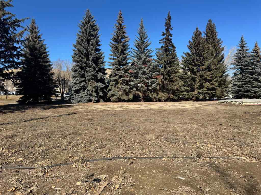 MLS® A2187248 - 170 9 Street NW in North Drumheller Drumheller, Land
