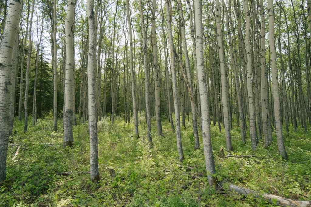 MLS® A2187592 - Unit #lot 3 Range Road 84 Township Road 722   in NONE Wembley, Land