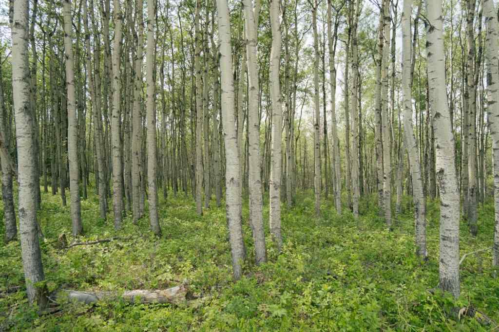 MLS® A2187592 - Unit #lot 3 Range Road 84 Township Road 722   in NONE Wembley, Land