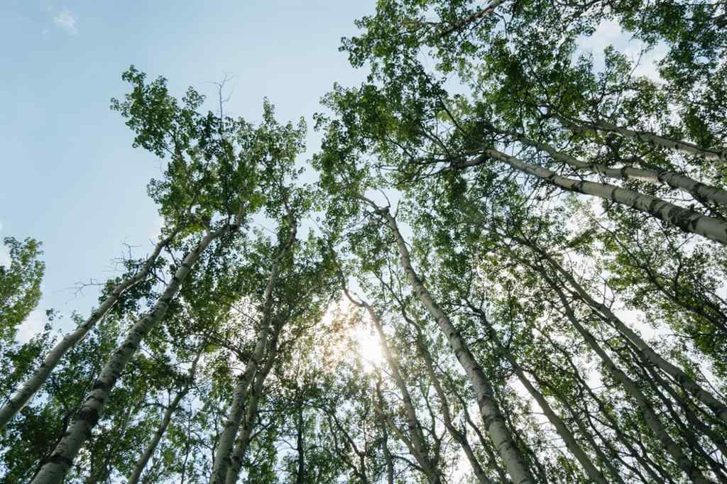 MLS® A2187592 - Unit #lot 3 Range Road 84 Township Road 722   in NONE Wembley, Land