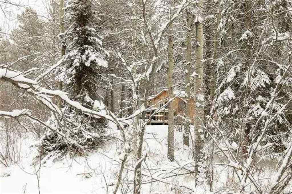 MLS® A2187798 - 472044 Range Road 23   in NONE Rural Wetaskiwin No. 10, County of, Commercial