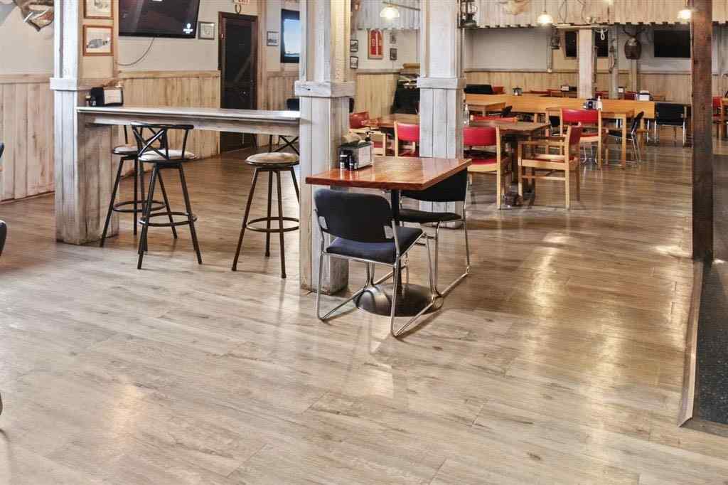 MLS® A2188089 - 4919 50 Avenue  in Czar Czar, Commercial
