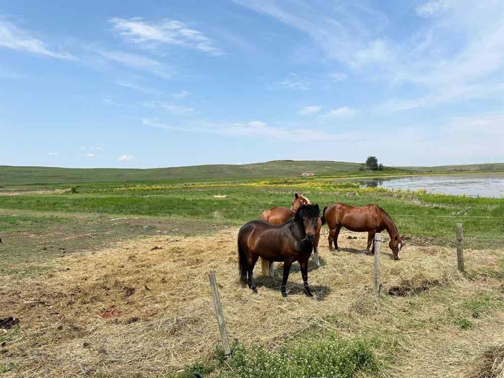 MLS® A2188397 - 523020 Range Road 70   in NONE Rural Vermilion River, County of, Residential