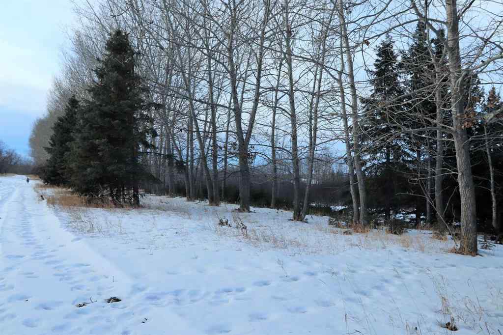 MLS® A2188588 - On Township Road 424   in  Rural Ponoka County, Land