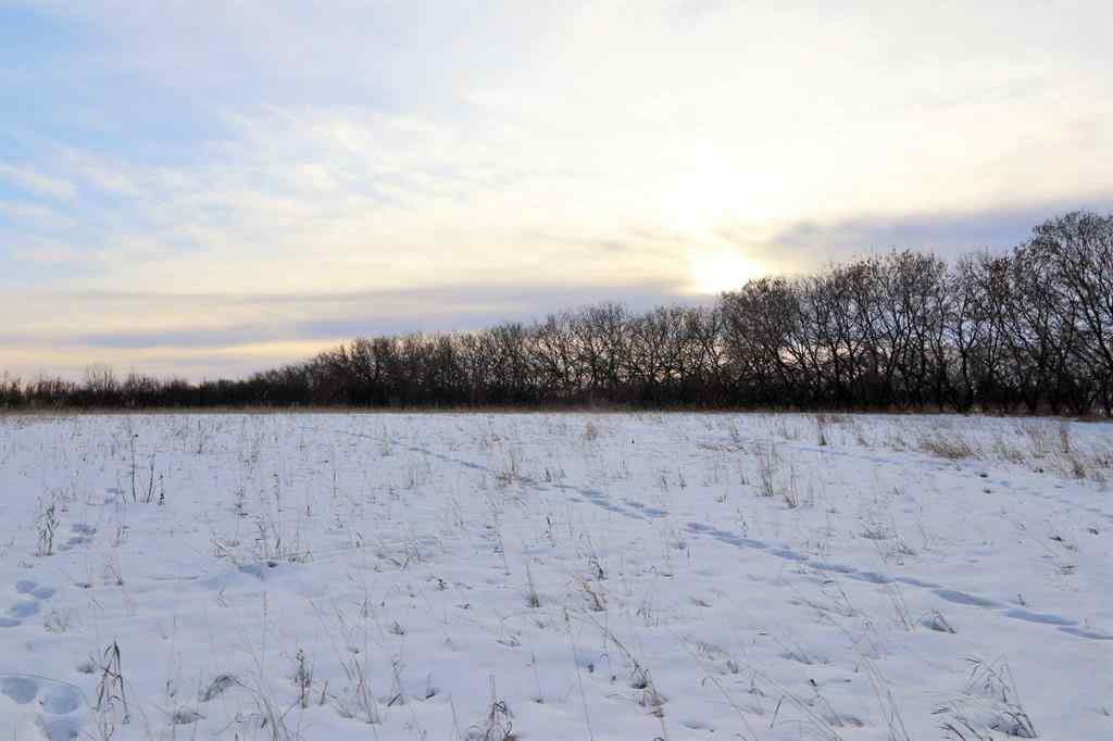 MLS® A2188607 - On Township Road 424   in  Rural Ponoka County, Land
