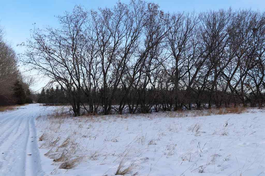MLS® A2188607 - On Township Road 424   in  Rural Ponoka County, Land