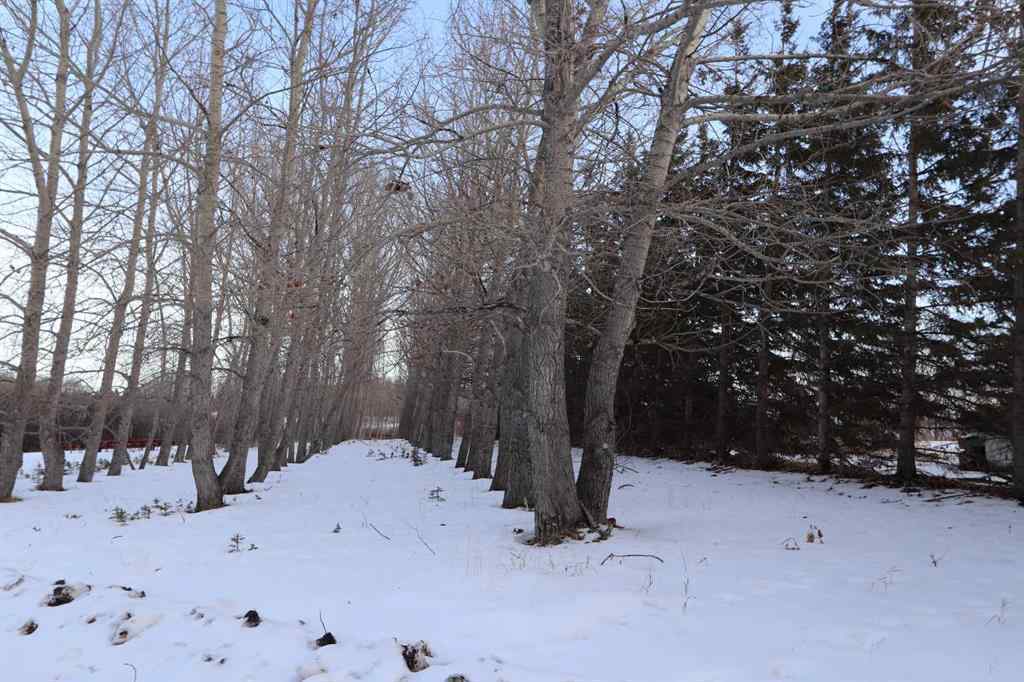 MLS® A2188607 - On Township Road 424   in  Rural Ponoka County, Land
