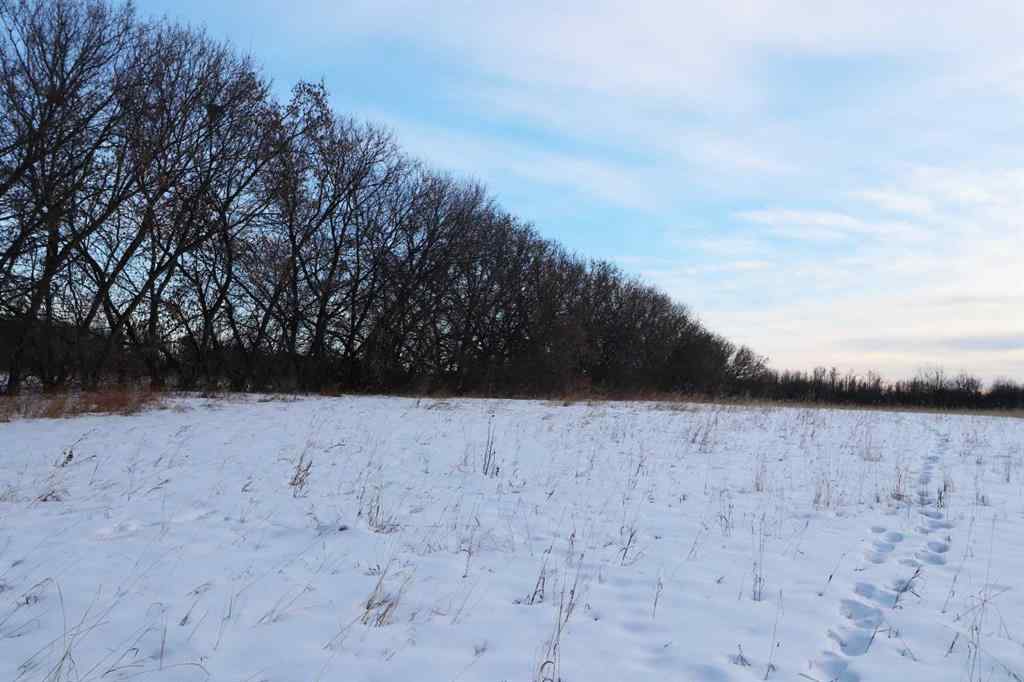 MLS® A2188609 - On Township Road 424   in  Rural Ponoka County, Land