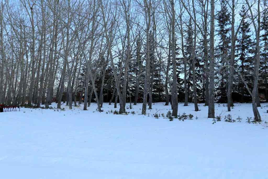 MLS® A2188611 - On Township Road 424   in  Rural Ponoka County, Land