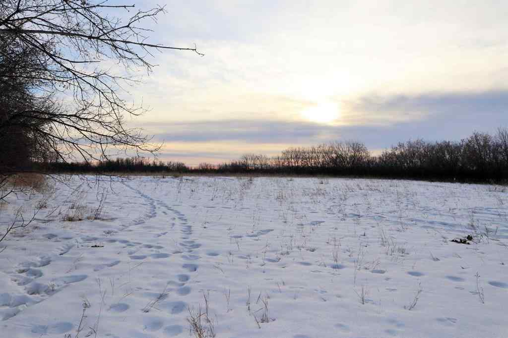 MLS® A2188611 - On Township Road 424   in  Rural Ponoka County, Land