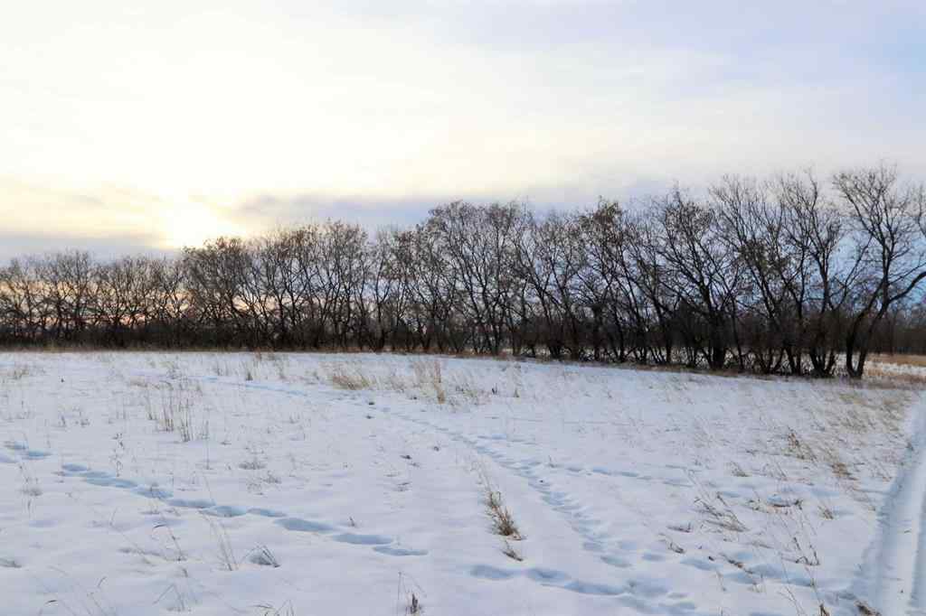 MLS® A2188611 - On Township Road 424   in  Rural Ponoka County, Land