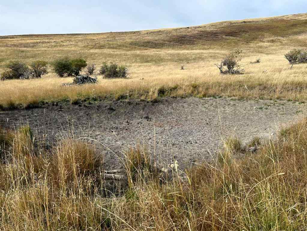 MLS® A2189271 - NE 19-8-2 W5M Approx 5 KM West of Hwy 22 & Township Rd 84   in NONE Lundbreck, Land