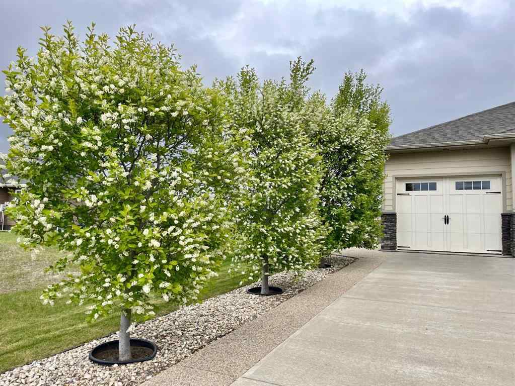 MLS® A2189402 - 5135 45 Street   in Viking Viking, Residential