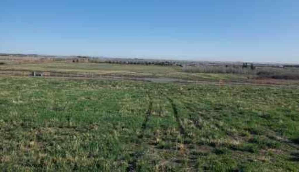MLS® A2189518 - 48051 295 Avenue E in NONE De Winton, Land