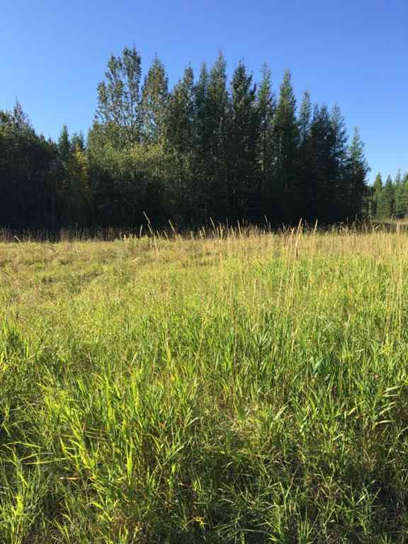 MLS® A2189565 - 72 64009 TWP Road 704 Township  in The Ranch Rural Grande Prairie No. 1, County of, Land