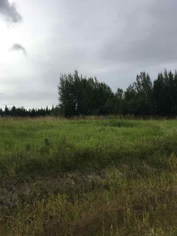 MLS® A2189565 - 72 64009 TWP Road 704 Township  in The Ranch Rural Grande Prairie No. 1, County of, Land
