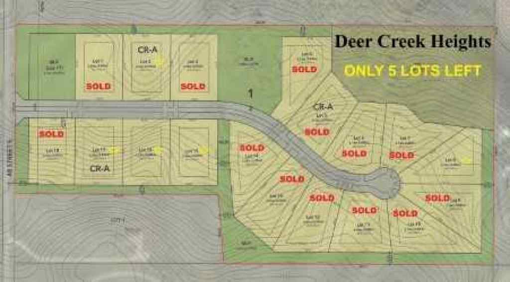 MLS® A2189717 - 48114 295 Avenue  in NONE De Winton, Land