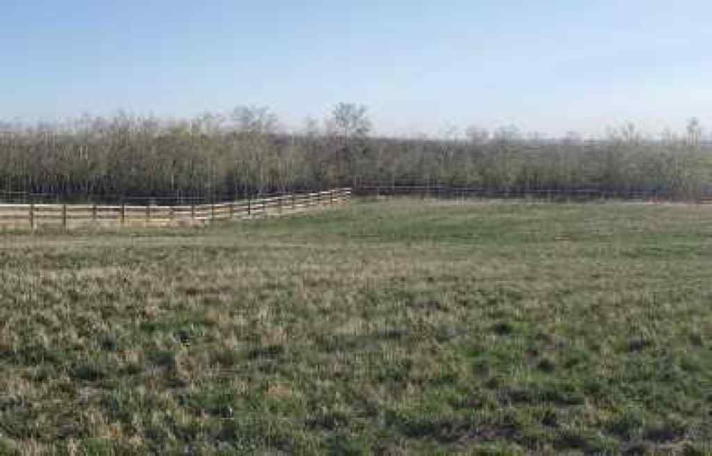 MLS® A2189717 - 48114 295 Avenue  in NONE De Winton, Land