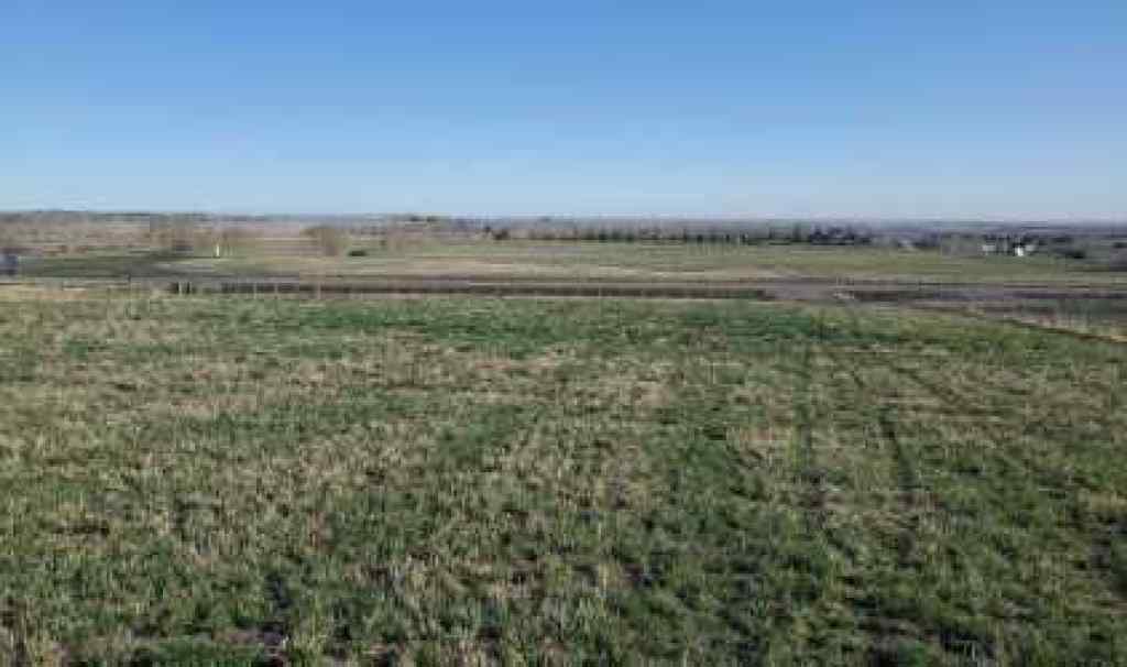 MLS® A2189739 - 48029 295 Avenue E in NONE De Winton, Land
