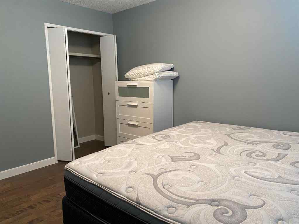 MLS® A2189794 - 1009 2 Street SE   in Huntington Drumheller, Residential