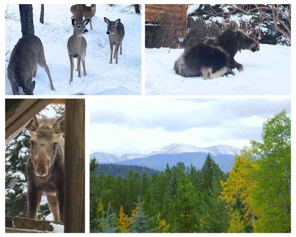 MLS® A2190075 - 64 Breezewood Bay  in NONE Bragg Creek, Residential