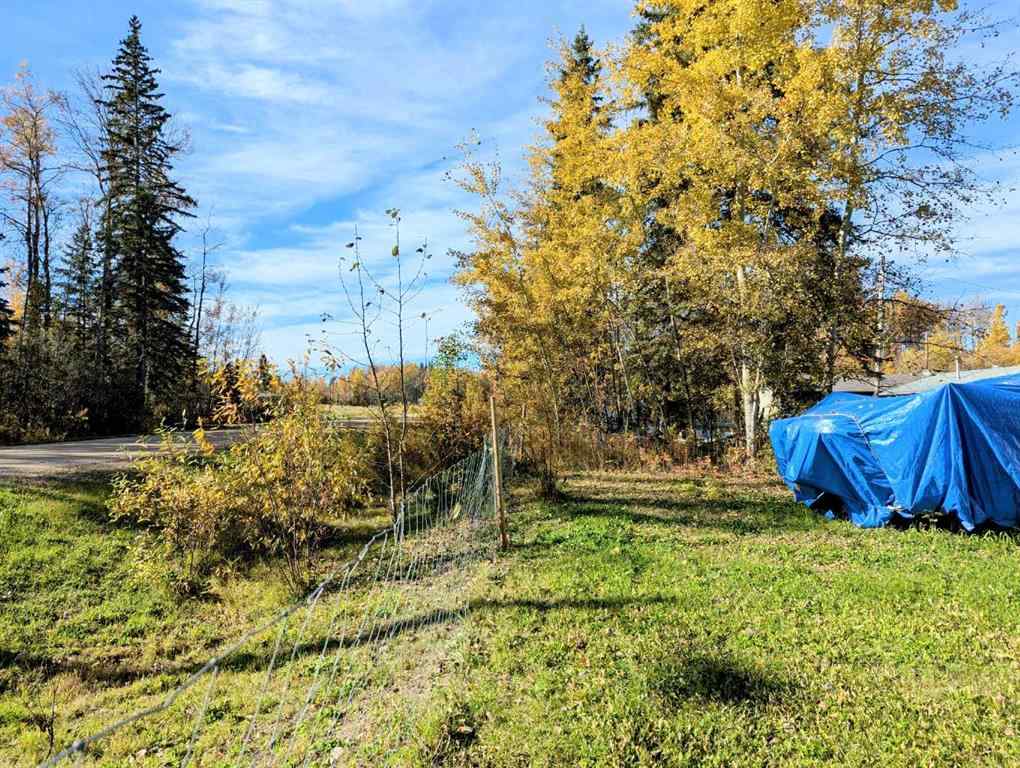 MLS® A2190187 - 9 4 Avenue SW in NONE Faust, Land