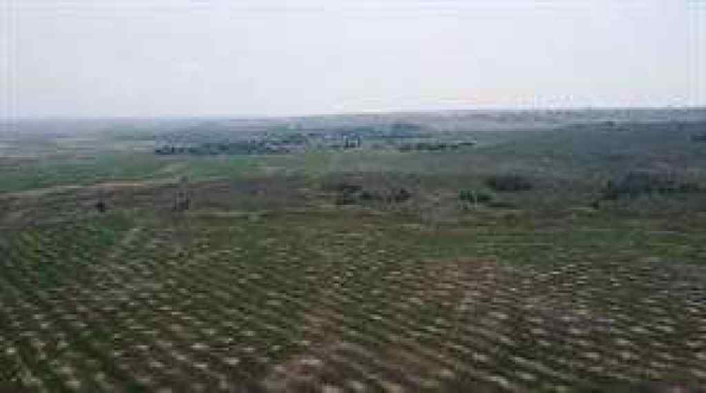 MLS® A2190238 - W-5 R-2, T- 26 ,S-9 Q-SE & SW Range Road 24 Road NW   in Bearspaw_Calg Rural Rocky View County, Land
