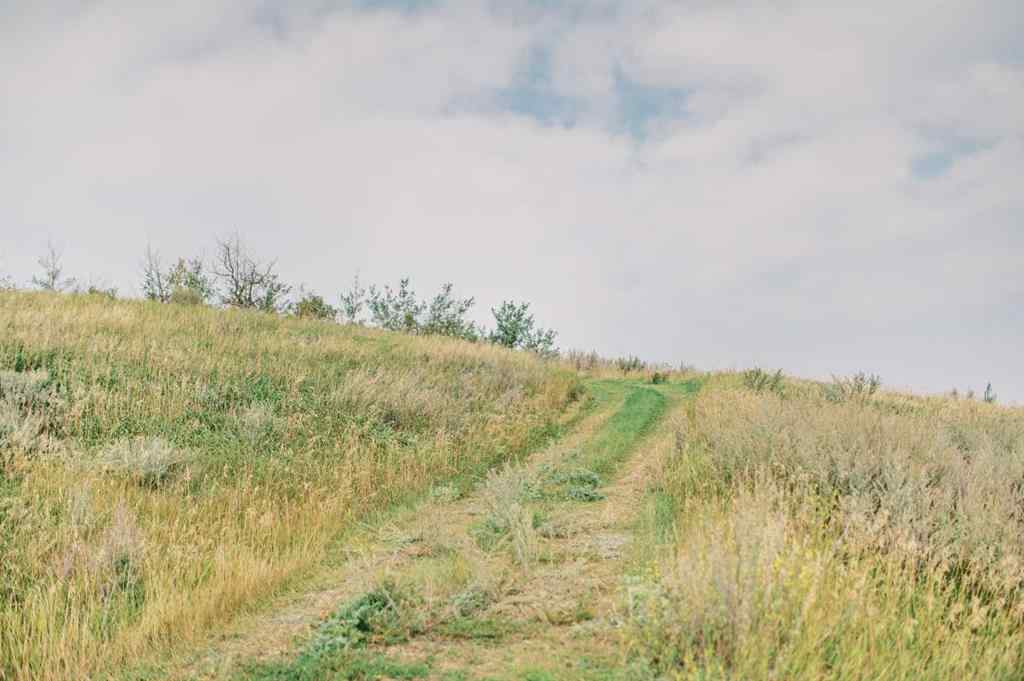 MLS® A2190266 - 8 Whitetail Close  in NONE Rochon Sands, Land