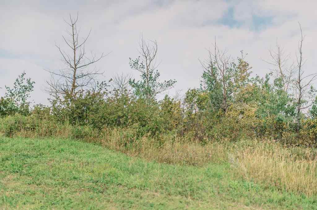 MLS® A2190266 - 8 Whitetail Close  in NONE Rochon Sands, Land