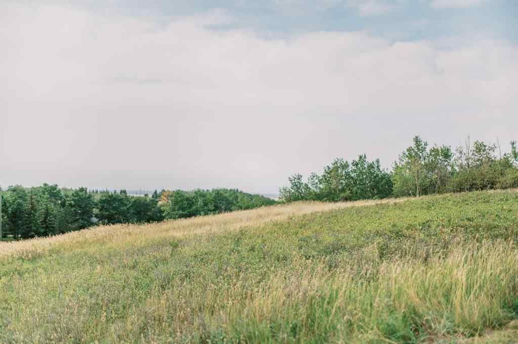 MLS® A2190266 - 8 Whitetail Close  in NONE Rochon Sands, Land