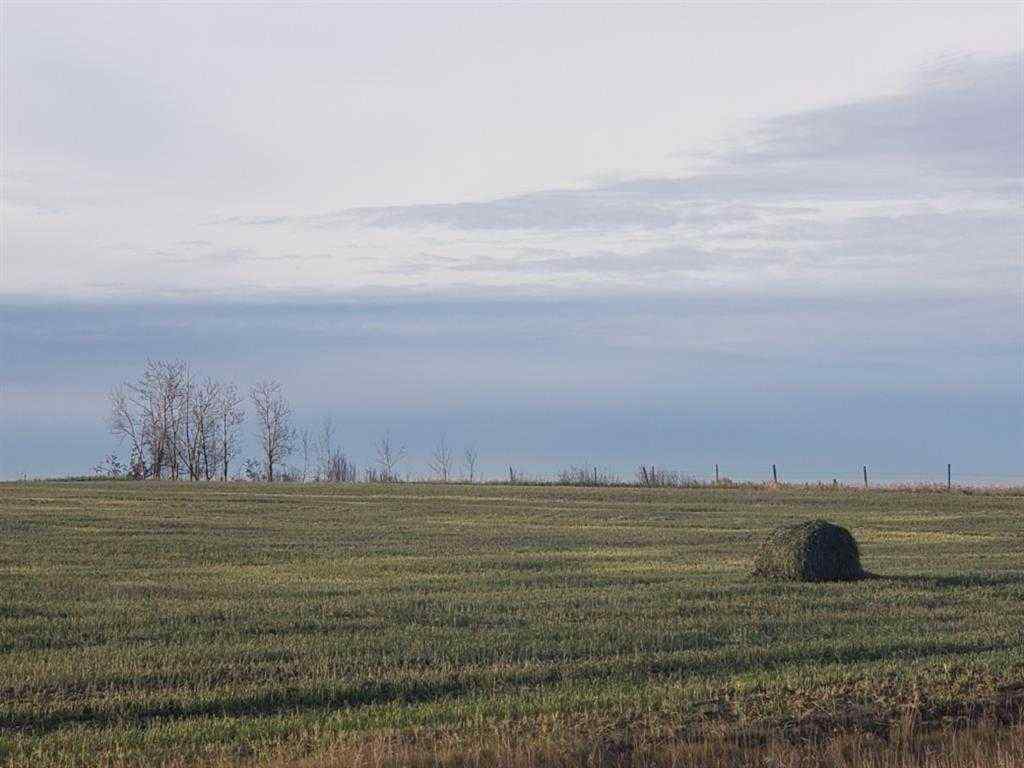 MLS® A2190497 - 721072 Range Road 53   in Crossroads South Rural Grande Prairie No. 1, County of, Land