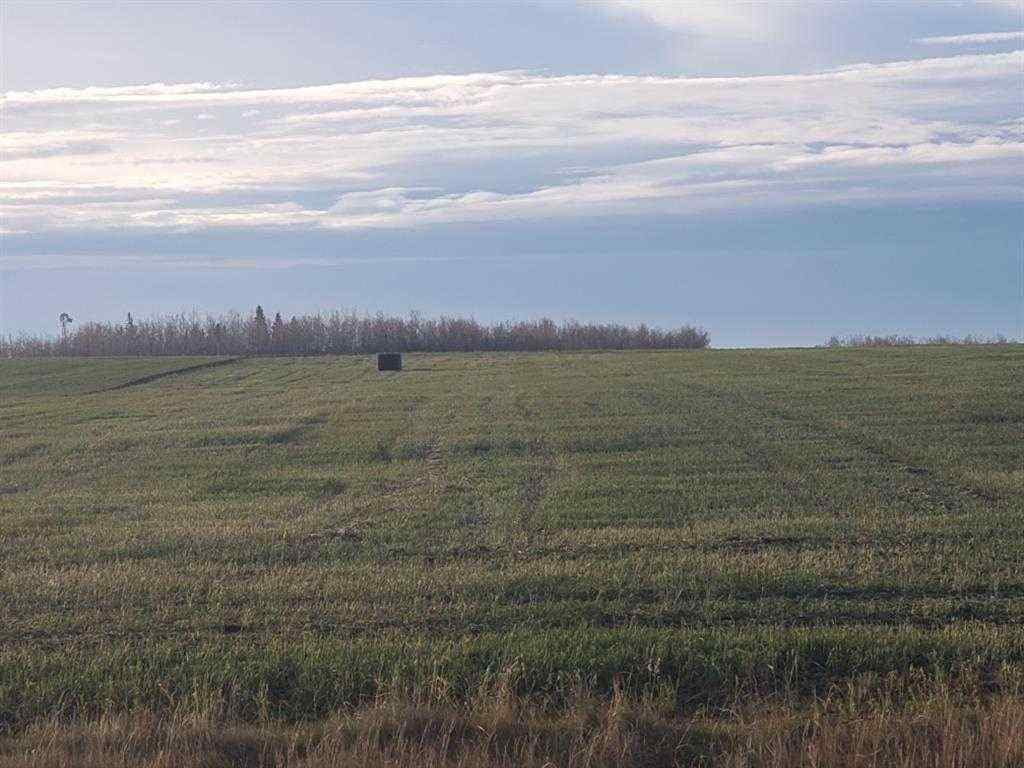 MLS® A2190497 - 721072 Range Road 53   in Crossroads South Rural Grande Prairie No. 1, County of, Land