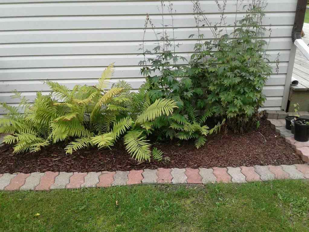 MLS® A2190743 - 122,  15249 Twp Rd 665 A   in Missawawi Lake Estate Rural Lac La Biche County, Residential