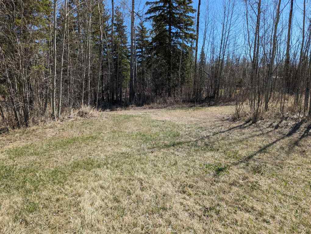 MLS® A2191128 - 5 Marina Way  in NONE Faust, Land