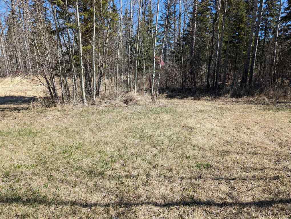 MLS® A2191128 - 5 Marina Way  in NONE Faust, Land