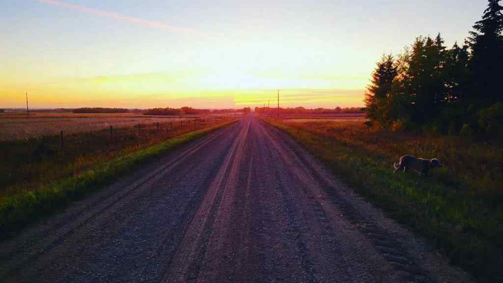 MLS® A2191154 - Rural Hwy 854   in NONE Ryley, Land
