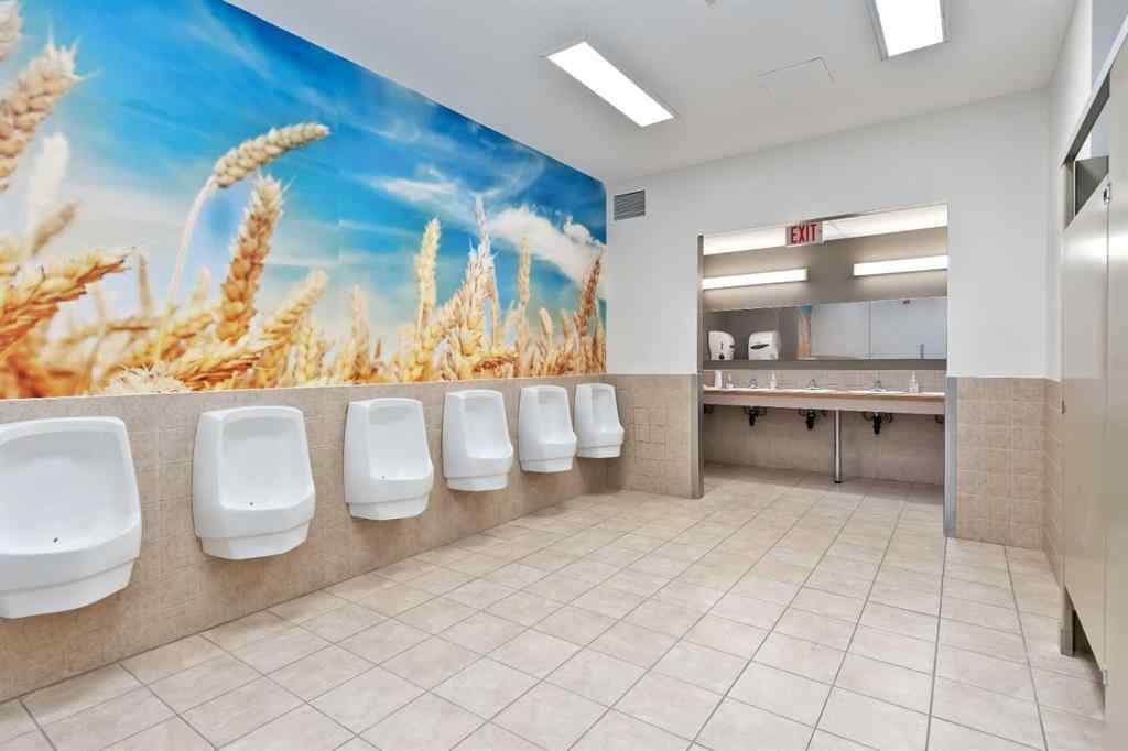 MLS® A2191326 - 64137 Highway 543  E in NONE Rural Foothills County, Commercial