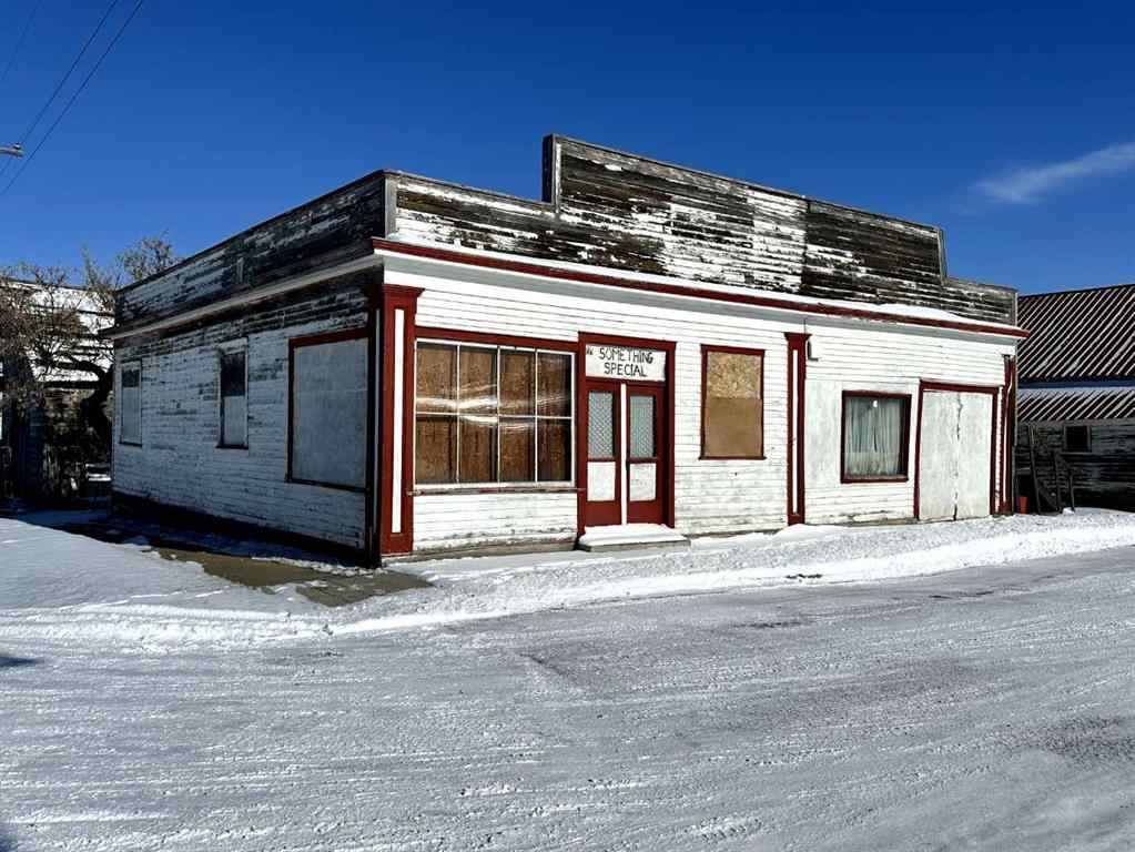 MLS® A2191487 - 204 1 Avenue E in NONE Hussar, Land